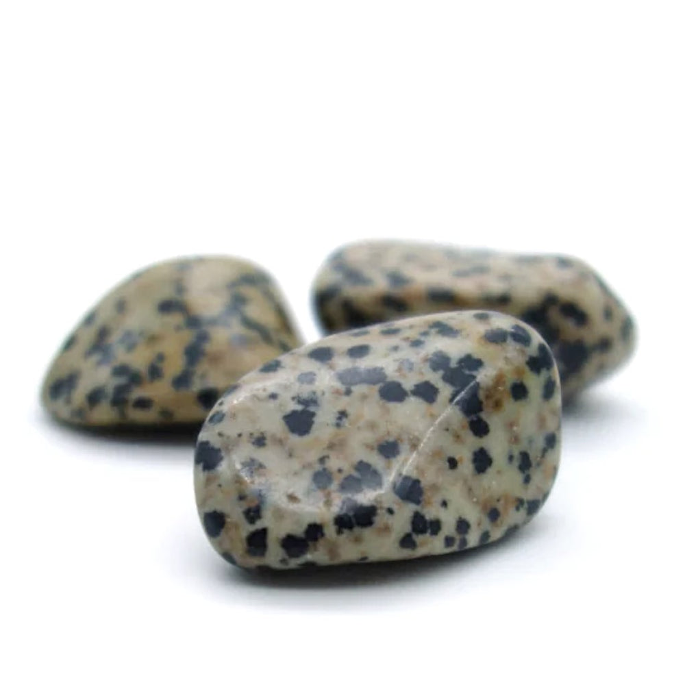 Jaspe dalmatien pierre naturelle