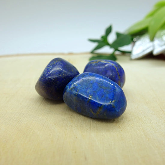 Lot de pierres roulées lapis lazuli