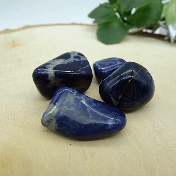 Lot de pierre roulée sodalite 
